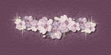 magnoliabar2.jpg
